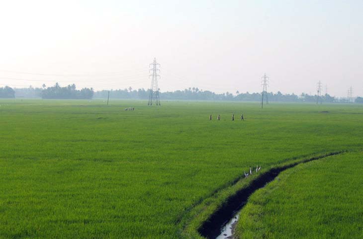 kuttanad-new2
